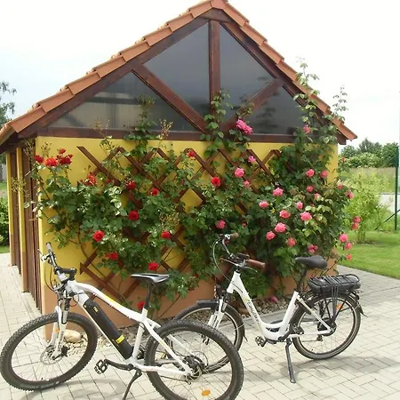 Apartamento Sarton *